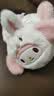Hello Kitty儿童耳罩冬季女童保暖毛绒耳暖护耳套女孩耳捂耳包EM753 实拍图