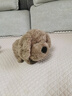 澳贝（auby）儿童毛绒玩具狗音乐互动电子哈基米宠物安抚玩偶可卡布生日礼物 实拍图