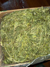 25年兔草苜蓿草干草兔子粮食龙猫荷兰猪豚鼠饲料高纤维兔粮 【25年新草】紫花苜蓿草1KG箱装(毛重) 实拍图