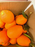 逮果重庆奉节脐橙纽荷尔春橙福本特级大果礼盒装时令新鲜孕妇水果橙子 净重19斤大果/75-80mm/36-42个 实拍图