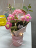 柏爱针织康乃馨抱抱桶永生花生日礼物女元旦新年年会礼品实用手工花束 实拍图