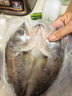 1号会员店（One's Member）零添加保水剂白蕉三去海鲈鱼 1000g（500g*2） 海鱼 海鲜水产 实拍图