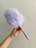 美丽雅除尘掸子灰尘吸附神器扫灰墙面书柜汽车缝隙清洁鸡毛掸子 实拍图