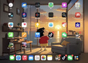 Apple苹果平板电脑iPadPro18/20/21/22/24款 高刷 2/3/4/5/6代二手 2022款 Pro 12.9寸 128G WiFi版 95成新 实拍图
