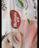 好奇（Huggies）铂金装小桃裤拉拉裤XL64片(12-17kg)加大号尿不湿【透爽散热】 实拍图