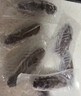 辽参大连冷冻海参1斤10-12只非即食独立包装自营旗舰店 固形物85% 实拍图