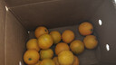 果果牛湖南麻阳冰糖橙 应当季新鲜水果手剥甜橙子高山夏脐血多汁 可选 净重9斤(单果60-65mm)推荐 实拍图