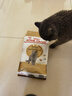 皇家猫粮 英短成猫粮 BS34 通用粮 12月以上 2KG 实拍图