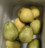 京觅福建红心芭乐 番石榴 应季 低糖孕妇水果 单果150g 净重3斤装 实拍图