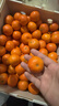 京鲜生 正宗广西砂糖橘净重4.5斤 单果35-55mm 精品果 源头直发包邮 实拍图