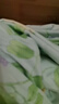 百丽丝水星家纺出品纯棉被套单件全棉被罩 家庭双人床上用品被套 实拍图