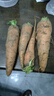 京喜加新鲜现挖现发胡萝卜农家自种蔬菜水果沙地红萝卜 带泥胡萝卜2斤 含箱 实拍图