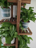 安尔雅 松木花架子花盆碳化室内外客厅阳台多肉植物简约置物架花摆架8层 实拍图