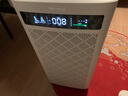 SOLEUSAIR舒乐氏空气净化器除醛细菌流感病毒宠物吸附猫毛异味过敏原消毒机净化机 A10 实拍图