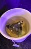 茶里 冷泡茶包 水果茶 蜜桃乌龙茶45g 15包/盒 实拍图