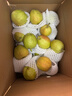 京鲜生 新疆库尔勒香梨 净重8斤 单果120g起 生鲜水果 礼盒装 包装随机 实拍图