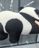野兽派（THE BEAST）熊猫嘭嘭二合一法兰绒暖香毯/抱枕汽车头枕腰靠车载靠枕 实拍图
