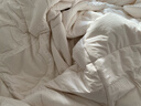 京东京造100%天然新疆棉花被 纯棉被芯双人被子 秋冬被6斤2x2.3m 实拍图