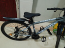 凤凰（Phoenix）山地自行车成人学生儿童碟刹越野变速单车 ZB888 26英寸24速灰色 实拍图