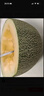 京鲜生 海南哈密瓜西州蜜/西周蜜 2粒5-7斤 单果2.5斤生鲜水果年货礼盒 实拍图