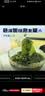 素养生活有机熟干裙带菜180g 烘干裙带菜 海木耳海藻凉拌菜 高海产干货 实拍图
