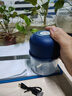 绞肉机小型打蒜器家用绞蒜切蒜器多功能辅食料理机电动蒜泥神器蒜蓉机自动切菜机压蒜器 宝蓝色- 0.26L （升级大电机） 实拍图