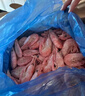 仁豪水产 头籽北极甜虾熟冻冰虾净重3斤 80/100 头籽率80% 送礼 25年新货 实拍图