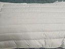 然牌 荞麦枕 护颈枕五星级酒店枕软硬两用枕全棉 单只装48x74cm 实拍图