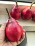 红啤梨当季新鲜水果红皮梨子彩虹香软糯梨太婆红宝石酥甜梨整箱 3斤（精品果） 实拍图