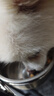 【爆品】冻干狗粮通用型成犬幼犬中小型泰迪比熊全阶段犬粮欧萨 20斤装【至尊版15拼】壮骨美毛 实拍图