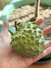 三萌果蔬释迦果新鲜牛奶凤梨释迦广西番荔枝大目摩尼热带水果礼盒节日送礼 3斤甄选S+级【单果250g+】净重2.5 实拍图