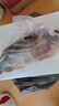 京乐狳桂鱼淡水鳜鱼鳌花鱼现捕鲜活现杀整条季花鱼 一条约750g(净膛前)现杀现发 一条装 实拍图