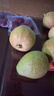 京觅福建红心芭乐 番石榴 应季 低糖孕妇水果 单果150g 净重3斤装 实拍图