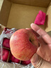 京鲜生 烟台红富士苹果 净重5.2斤/12粒  单果190-240g  水果礼盒 实拍图