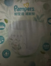 帮宝适超薄透气清新帮纸尿裤新生儿婴儿尿不湿尿片透氧Pro mini XL26 实拍图