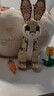 乐高（LEGO）积木拼装31162 可爱的兔子男孩女孩儿童玩具生日圣诞礼物 实拍图