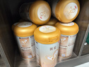 贝因美【焕新】菁爱婴儿配方奶粉2段350g 乳铁蛋白+益生菌+双益生元 实拍图