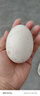 百世富泽（BAISHIFUZE）【百世富泽】黄河滩大鹅蛋新鲜正宗土鹅蛋农家自养孕妇超大鹅蛋 12枚130-150克 实拍图