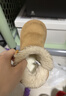 巴拉巴拉童鞋儿童雪地靴男童女童短靴加厚加绒棉靴防滑冬季靴子 浅驼-中帮魔术贴 【防滑防泼水】 37 成人可穿 (脚长22.8-23.2/内长24.4) 实拍图