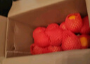 京鲜生 四川爱媛38号果冻橙 10斤 单果150g起 生鲜水果柑橘桔子礼盒  实拍图
