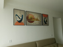 Sixpoetry 客厅装饰画现代简约沙发背景墙壁画轻奢三联晶瓷画大气高档挂画 福运相伴（铝合金外框） 晶瓷画左右50*70+中间100*70亮面 实拍图
