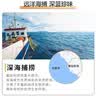 中水远洋塞拉利昂进口天然斑节虾净重2斤深海捕捞大虾对虾船冻锁鲜 30-40只/kg 实拍图
