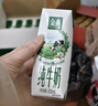 伊利金典纯牛奶整箱 250ml*16盒 3.6g乳蛋白 礼盒装 实拍图