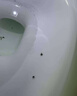 皎洁下水道杀虫剂厕所小飞虫灭杀神器卫生间除虫灭蛾蚋室内管道200ml 实拍图