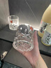 RCR意大利进口水晶玻璃威士忌杯家用洋酒杯高级感轻奢烈酒啤酒杯套装 【傲柏】威士忌酒杯2只装 300ml 实拍图
