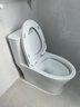 惠达（HUIDA）脲醛抗菌抽水马桶家用大冲力节水虹吸式坐便器白天鹅HDC6360NA 实拍图