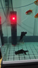森森鱼缸石英加热棒200W款适用30-60L自动恒温水族箱加热器离水断电 实拍图