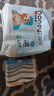 HONEYCARE好命家 狗狗纸尿裤公狗尿不湿安全裤 S适用体重5-15kg/12片12包装 实拍图