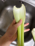 西芹1kg 实拍图