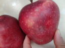 京鲜生 甘肃天水花牛苹果 又大又红 净重10斤 单果200g以上 新鲜水果  实拍图